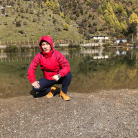 david Jiang